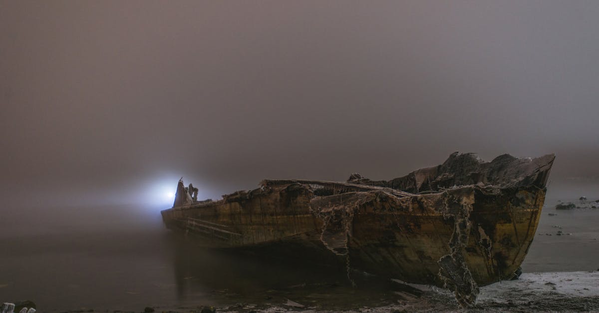 The Echo of Aethel 1 image text