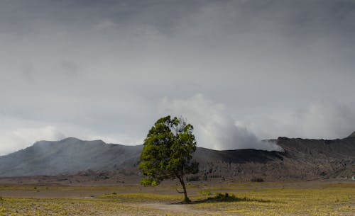 Free stock photo of bromo, cloudy sky, green