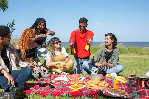 Immagine gratuita di amicizia, contento, coperta da picnic