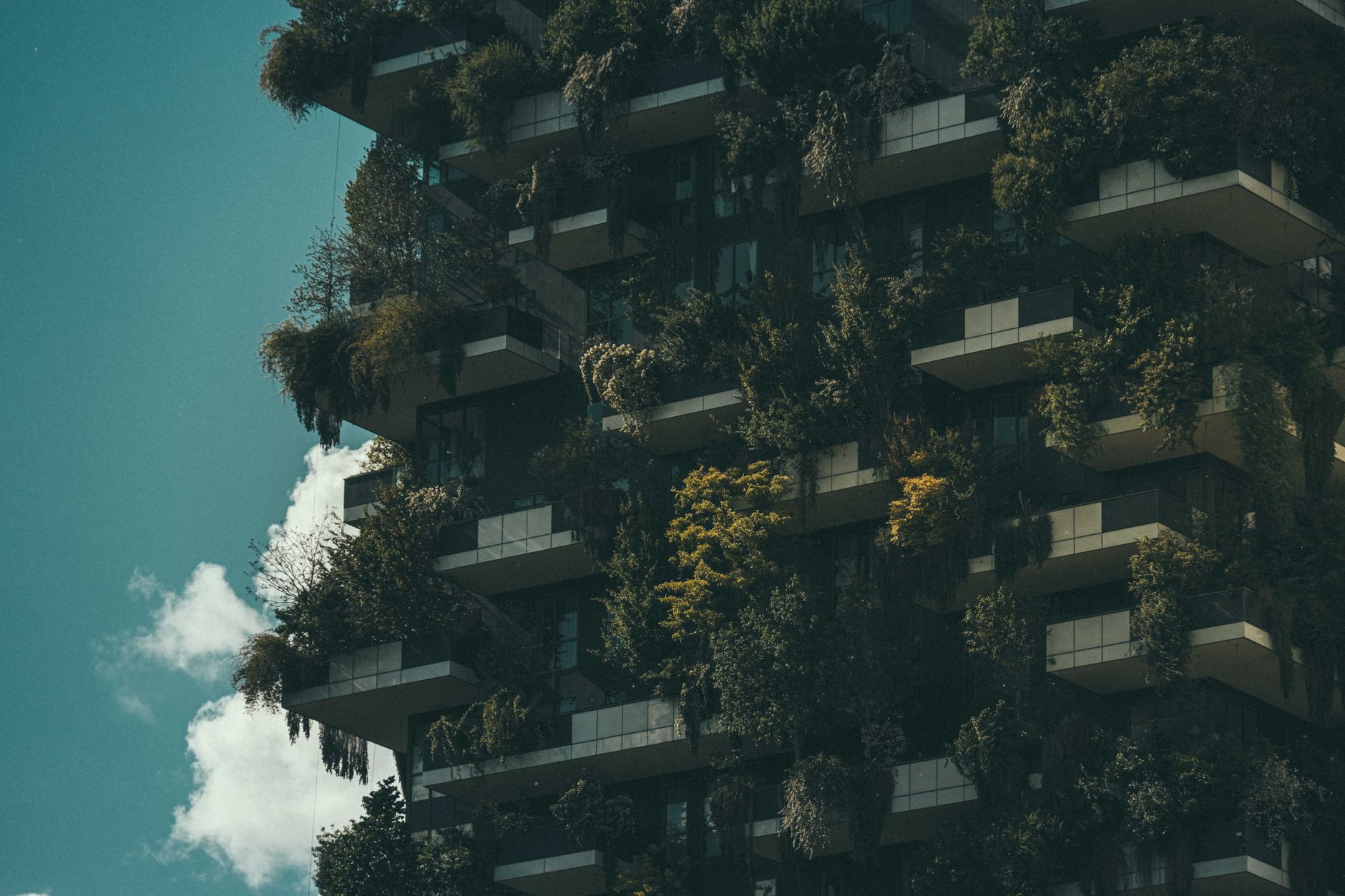 Building Tomorrow's Sustainable Tech Ecosystem: Lessons in Innovation
