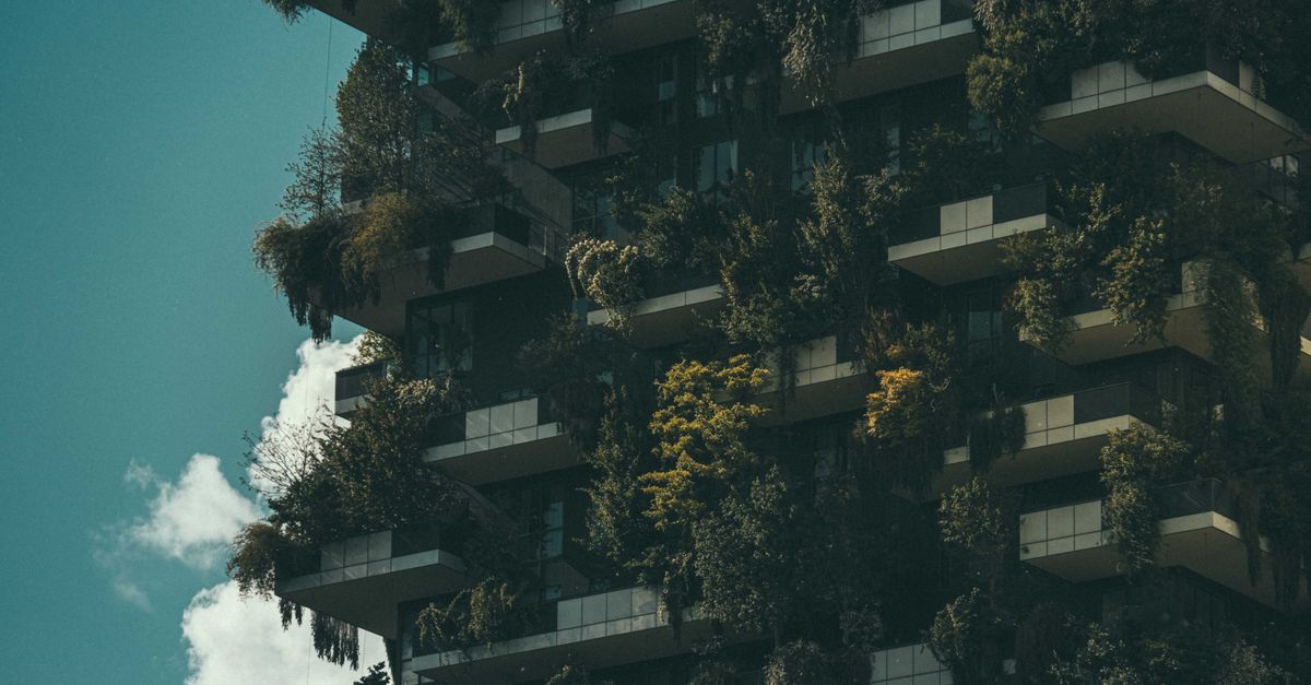 Fai-da-te in Giardino: Come Creare un Orto Urbano