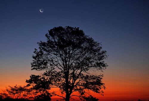 Ilmainen kuvapankkikuva tunnisteilla auringonnousun värit, kuu, kuunsirppi