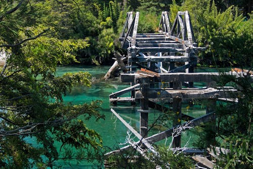 Foto d'estoc gratuïta de aigua verda, pont, riu