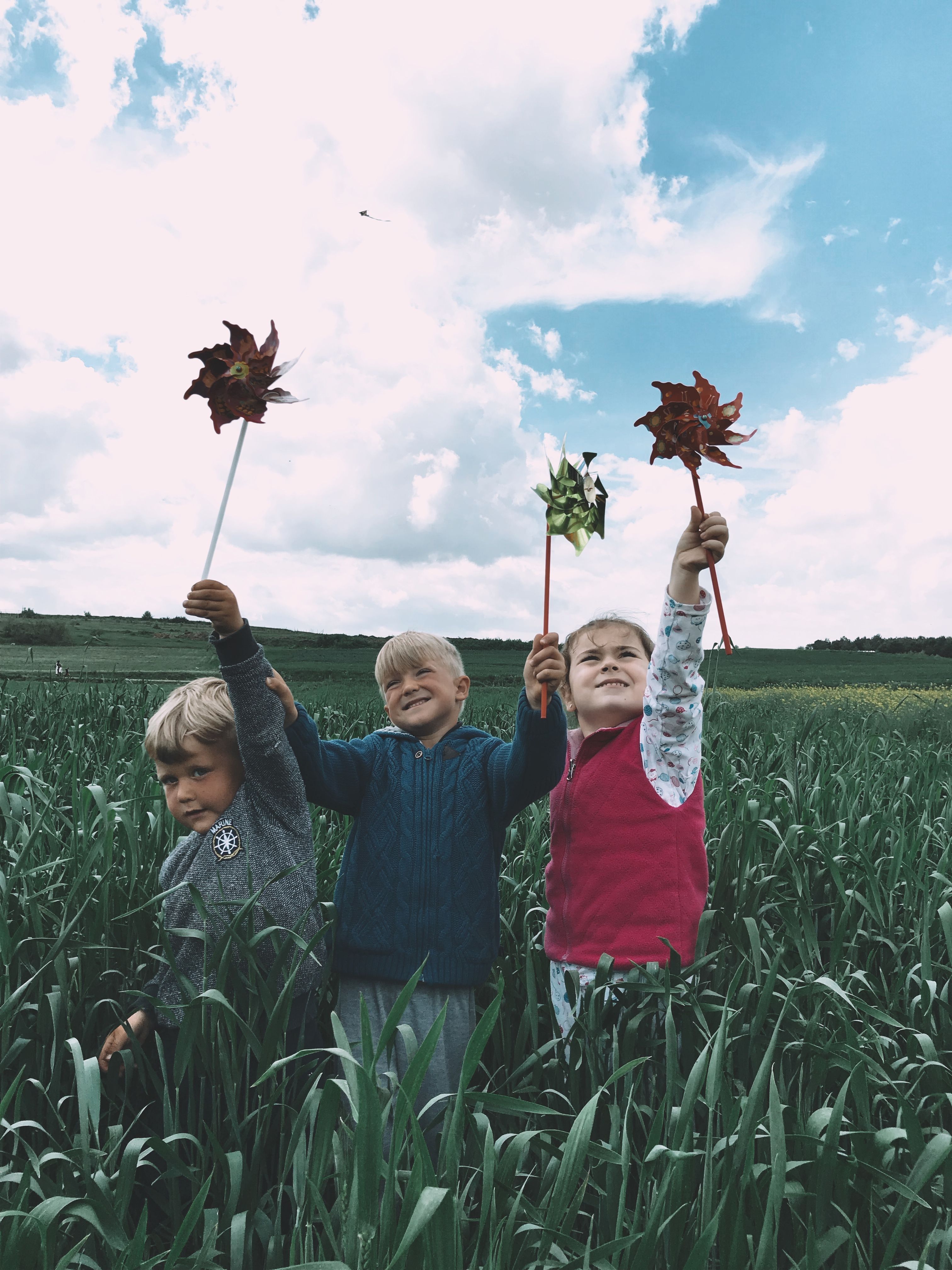Children Playing with Pinwheels in a Cropland · Free Stock Photo