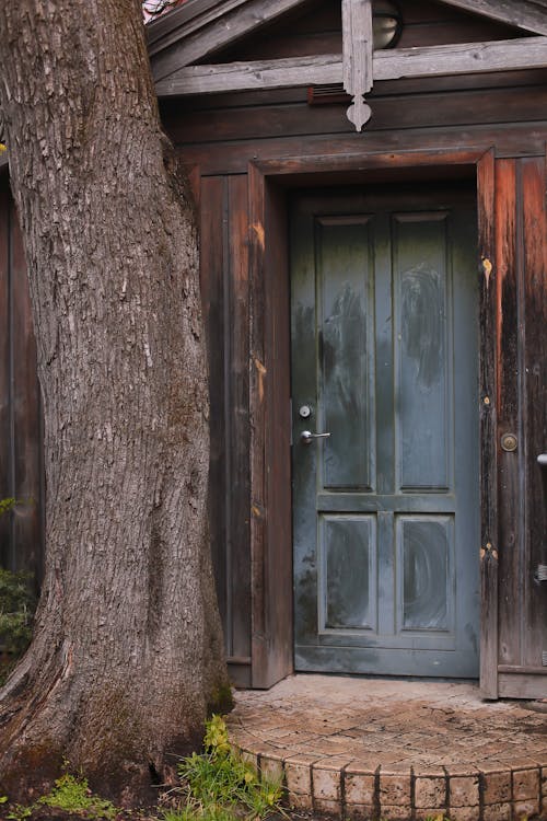 A Wooden House with Wooden Door Near the Tree Trunk