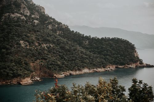 Free Scenic view of a rugged cliff covered in dense pine trees by the serene blue sea. Stock Photo