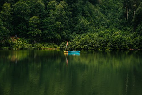 Immagine gratuita di alberi, barca, calma