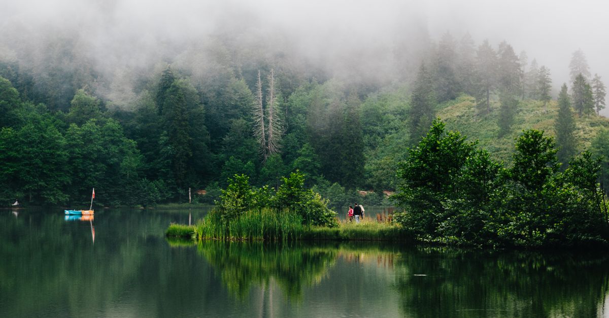 The Best 10 Fun Activities to Try This Weekend in the UK
