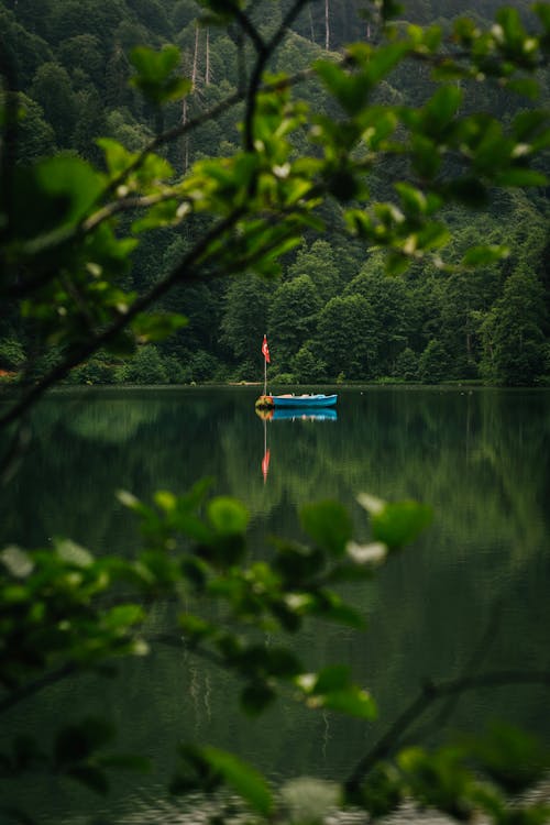 Foto profissional grátis de árvores, barco, calma