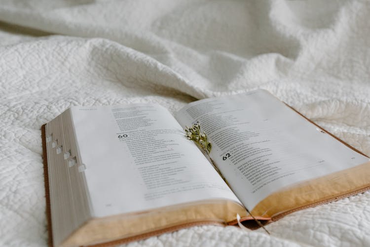 An Opened Bible With A Dried Flowers As Bookmark