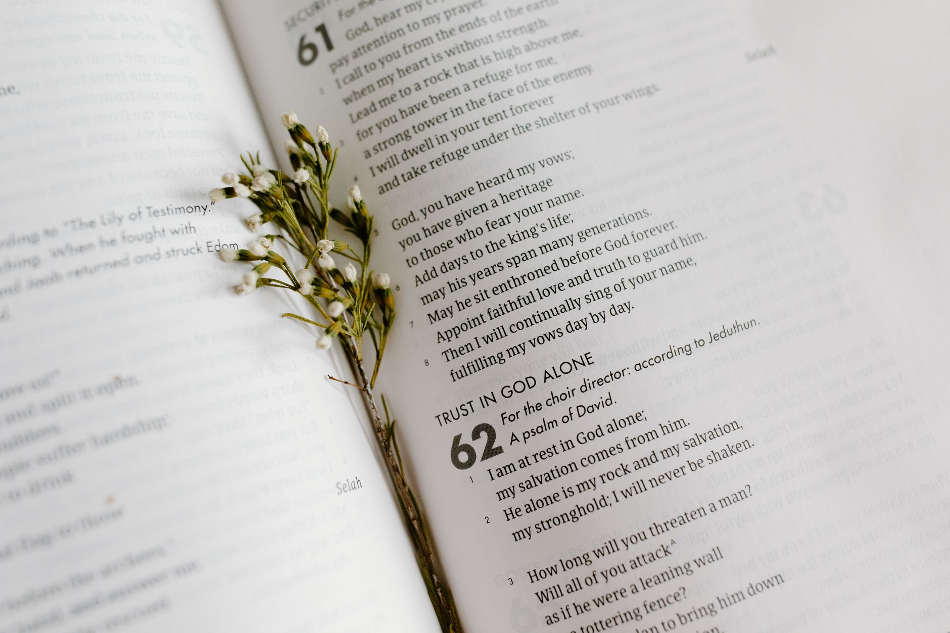 A close-up of an open Bible page with scripture and delicate white flowers. — Foto: Tara Winstead / Pexels