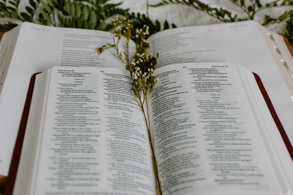 An open Bible surrounded by delicate white flowers and ferns