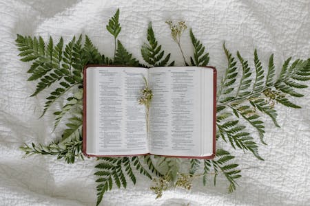 blog article feature image