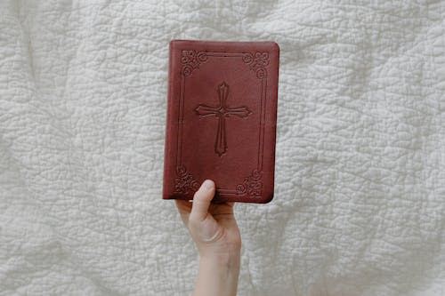 A Person Holding a Bible with a Red Cover