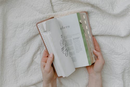Free Person Opening a Book Stock Photo