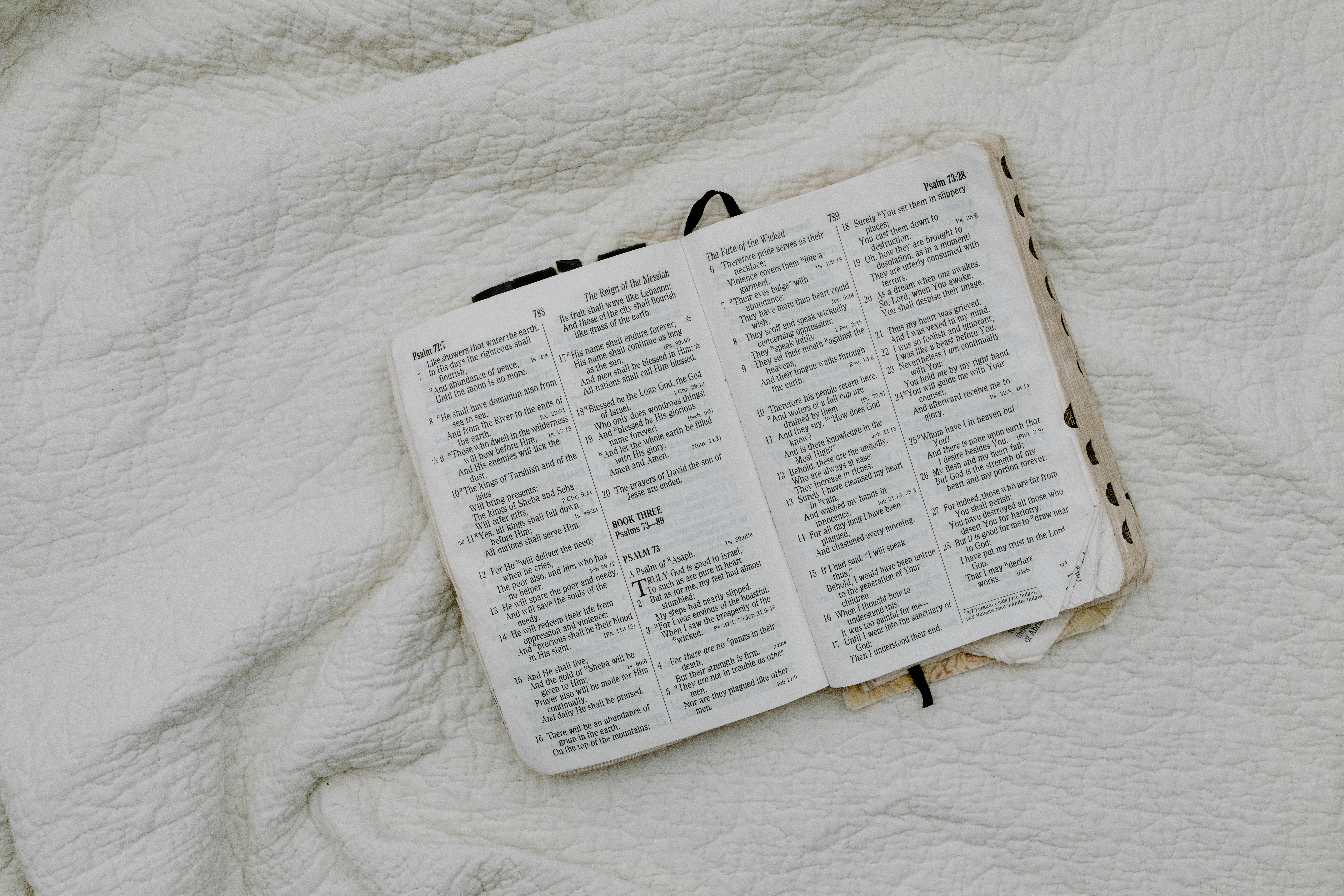 overhead shot of a bible