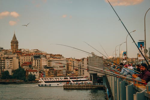 People Fishing on the Bridge