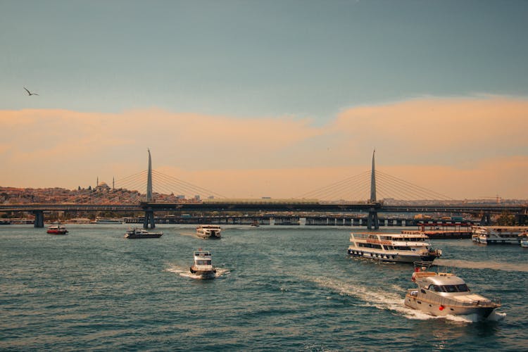 Watercrafts Cruising Near A Bridge