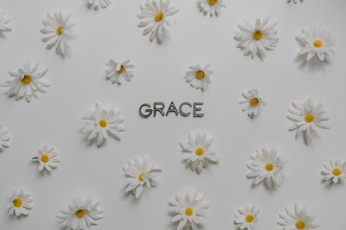 Letters Surrounded with White Flowers on a White Surface