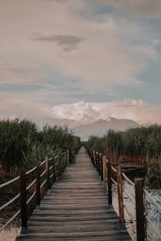 image.mefiz.com
