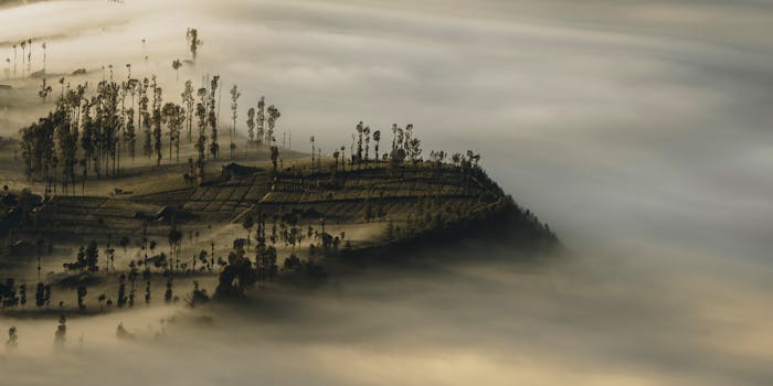 黎明时分，鸟瞰雾中的乡村，可见树木与田野