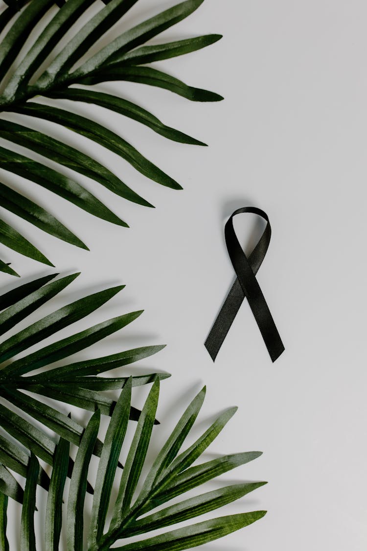 Black Ribbon Beside Green Palm Leaves