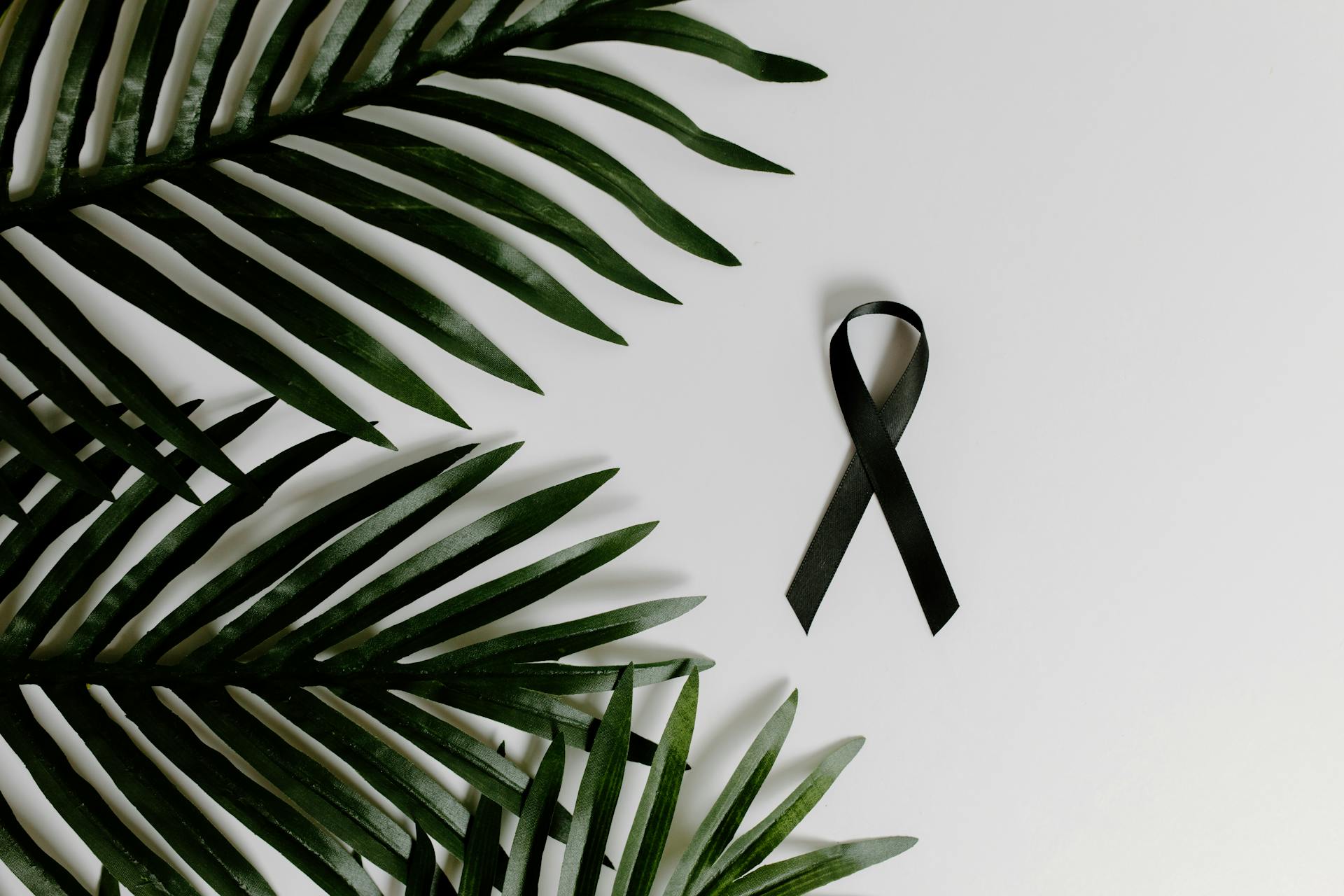 Black Ribbon Symbolizing Skin Cancer Lying next to Palm Leaves