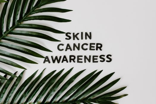 Free stock photo of awareness, battle against cancer, bright