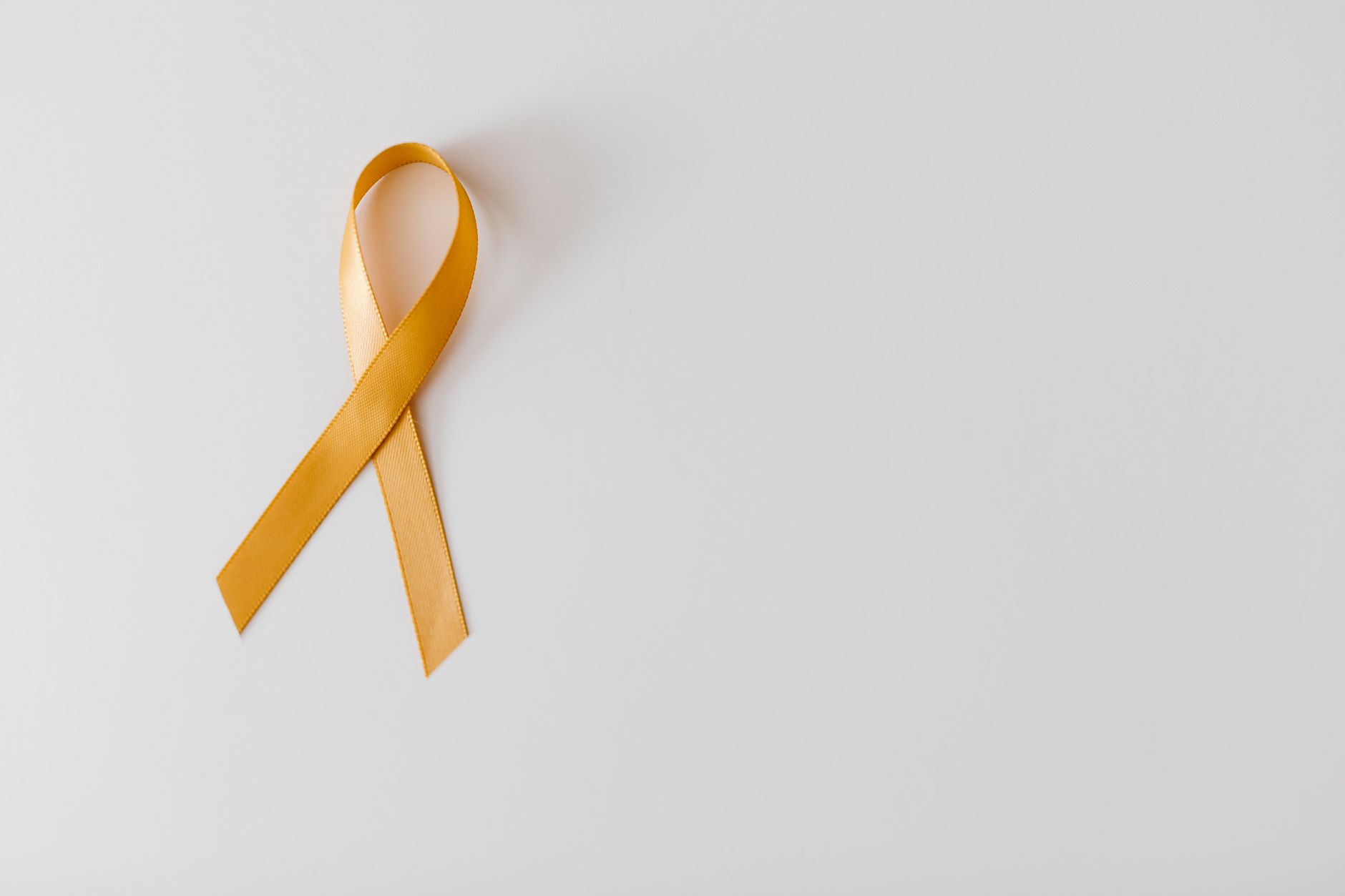 Understanding Kidney Failure: Causes, Symptoms, and Prevention