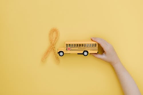 Foto stok gratis anak, bus sekolah, kanker