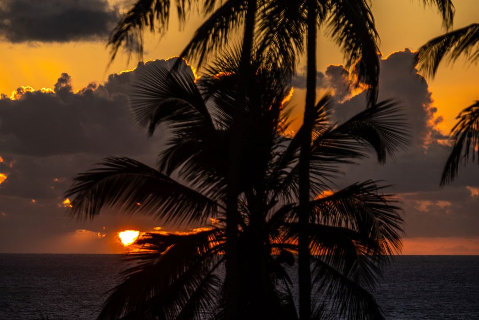 Pemandangan yang Memukau: <b>Sunrise</b> yang Bikin Speechless! Pemandangan yang Memukau: <b>Sunrise</b> yang Bikin Speechless!