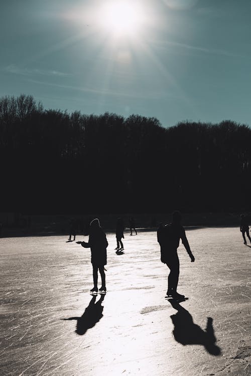 Ilmainen kuvapankkikuva tunnisteilla alankomaat, amsterdam, elokuva