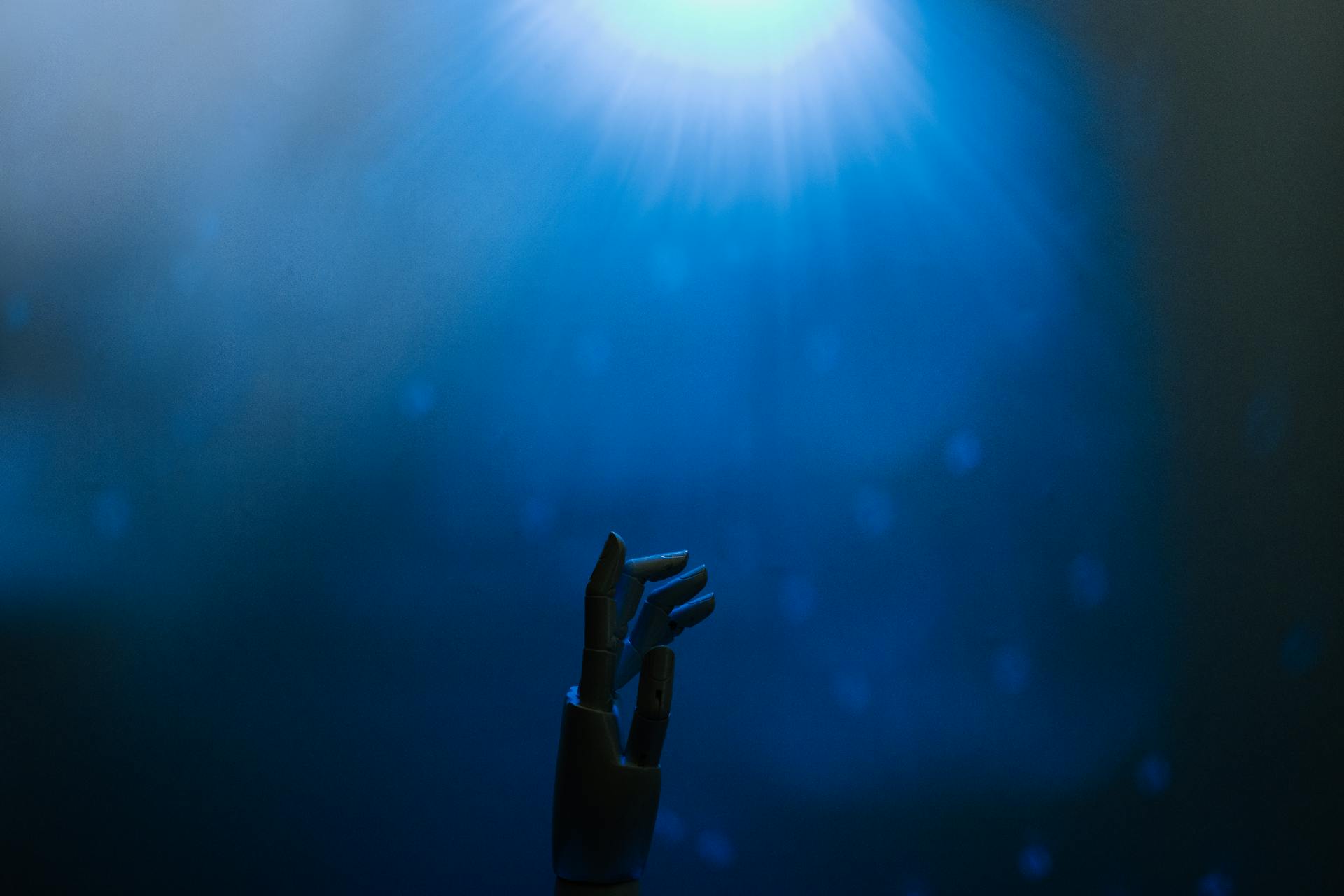 Silhouette of a Robot Hand