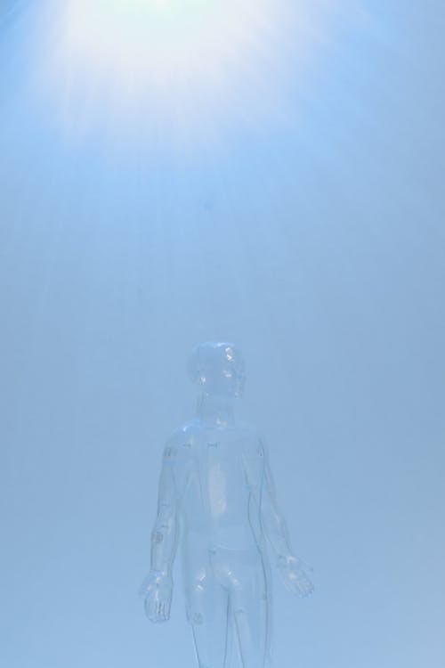 Photo of a Transparent Mannequin 