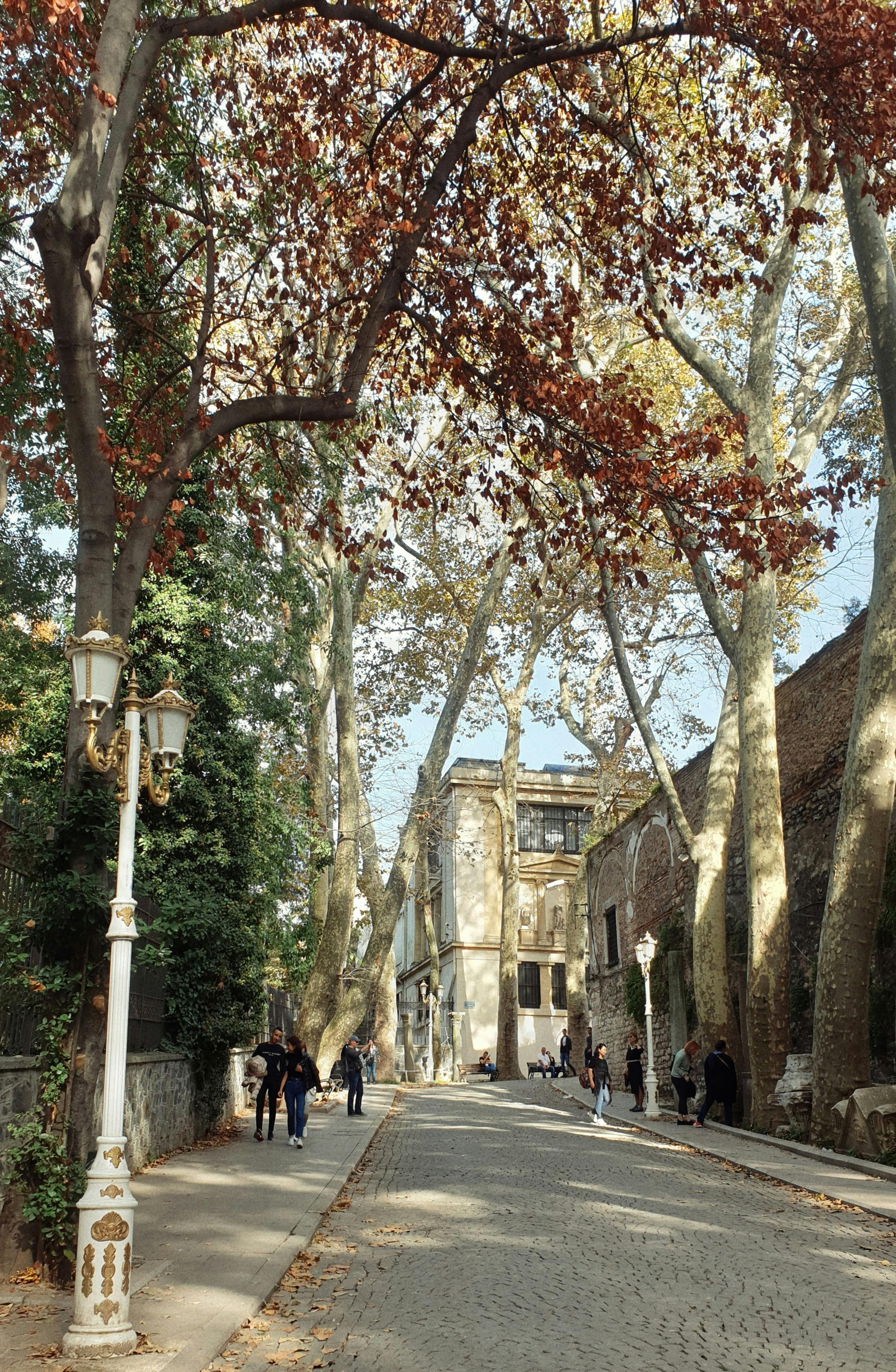 Team collaboration in modern office