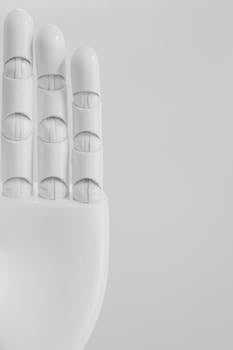 Image by Tara Winstead