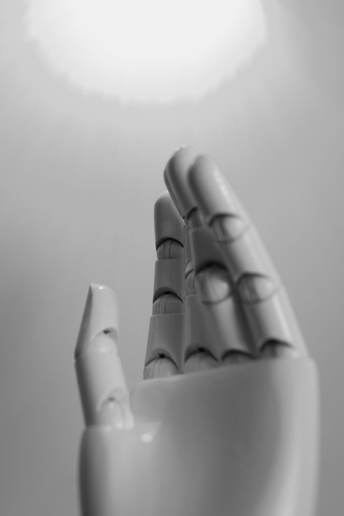robotic hand study