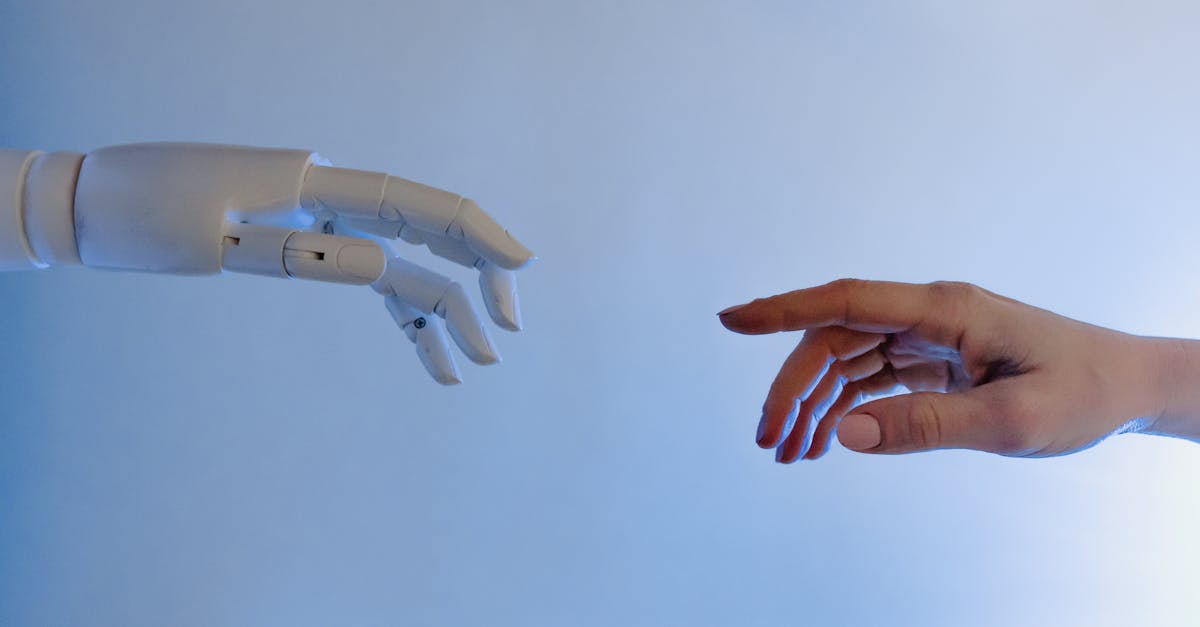 How to build a robot for beginners