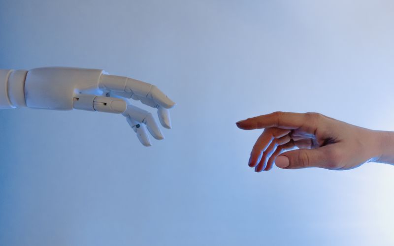 AI Development