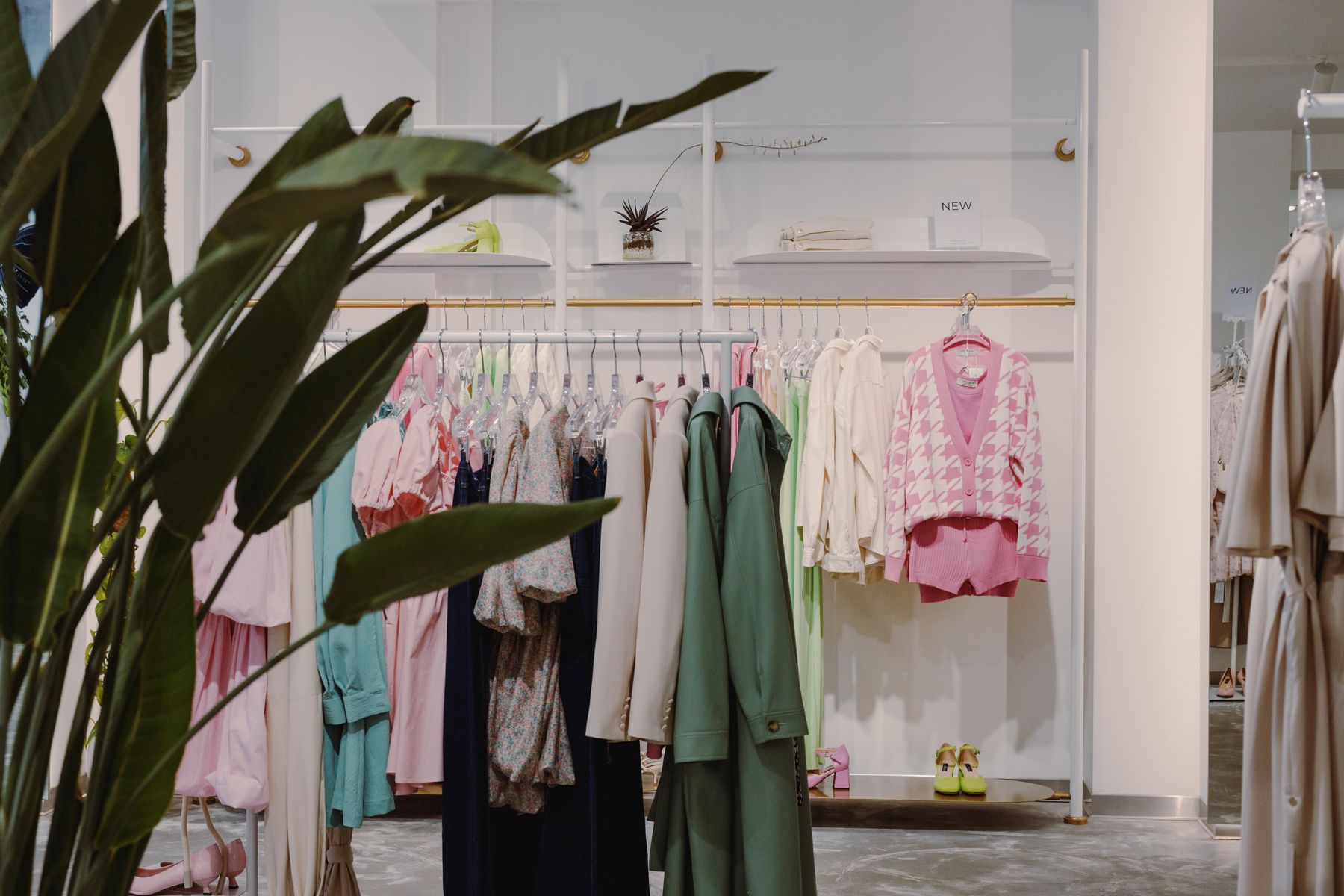Boutique clothing with plants