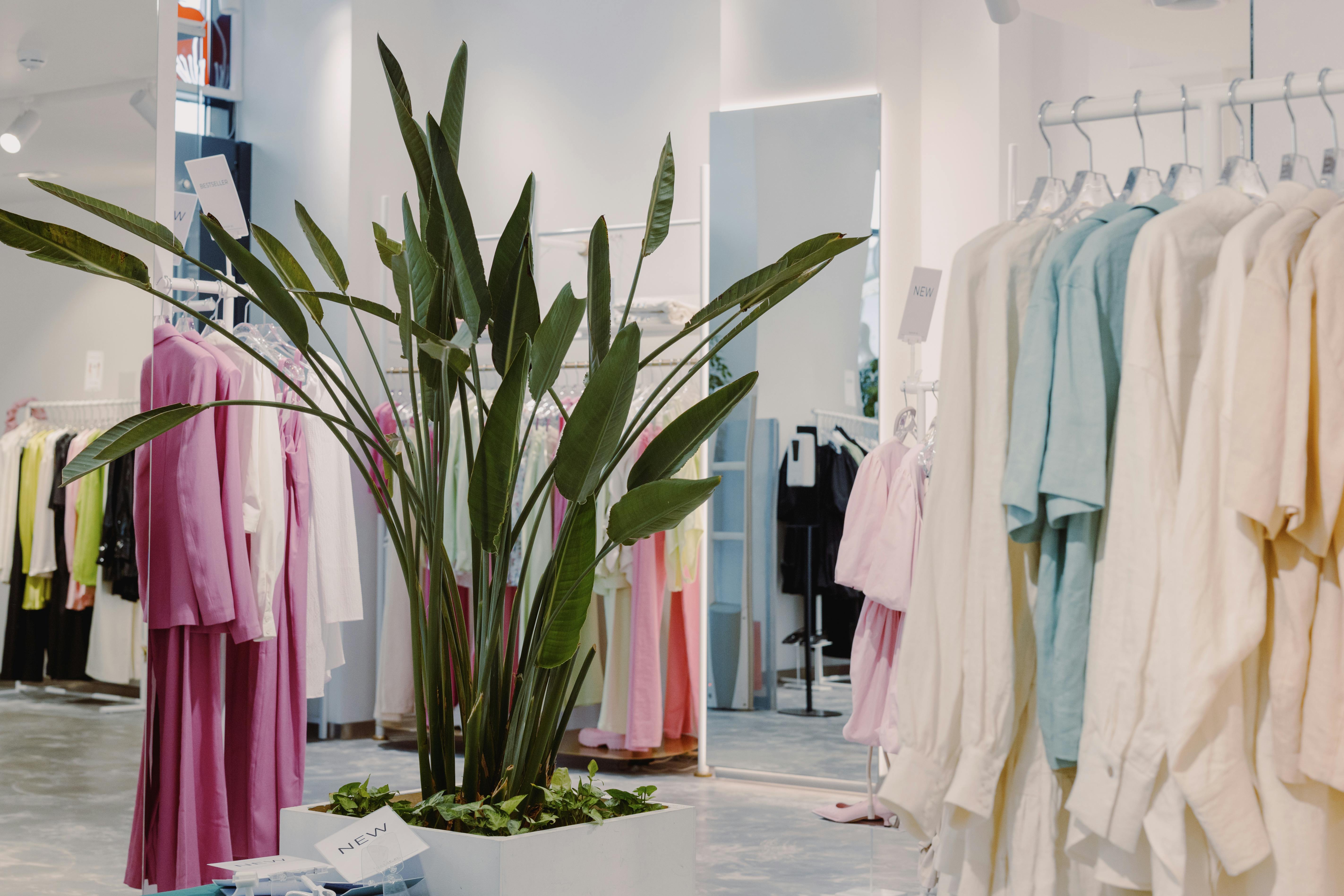 Pastel Clothing Store Photos, Download The BEST Free Pastel Clothing