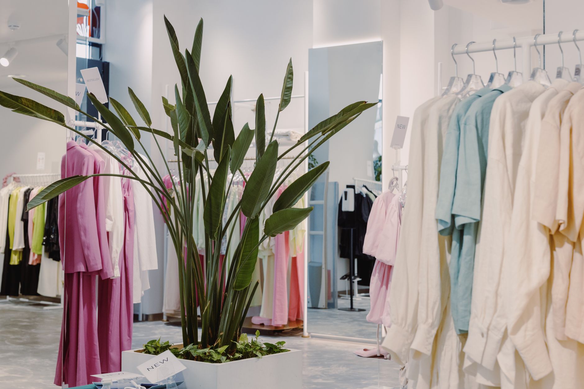 Bright and airy boutique featuring pastel garments and a lush green plant centerpiece.