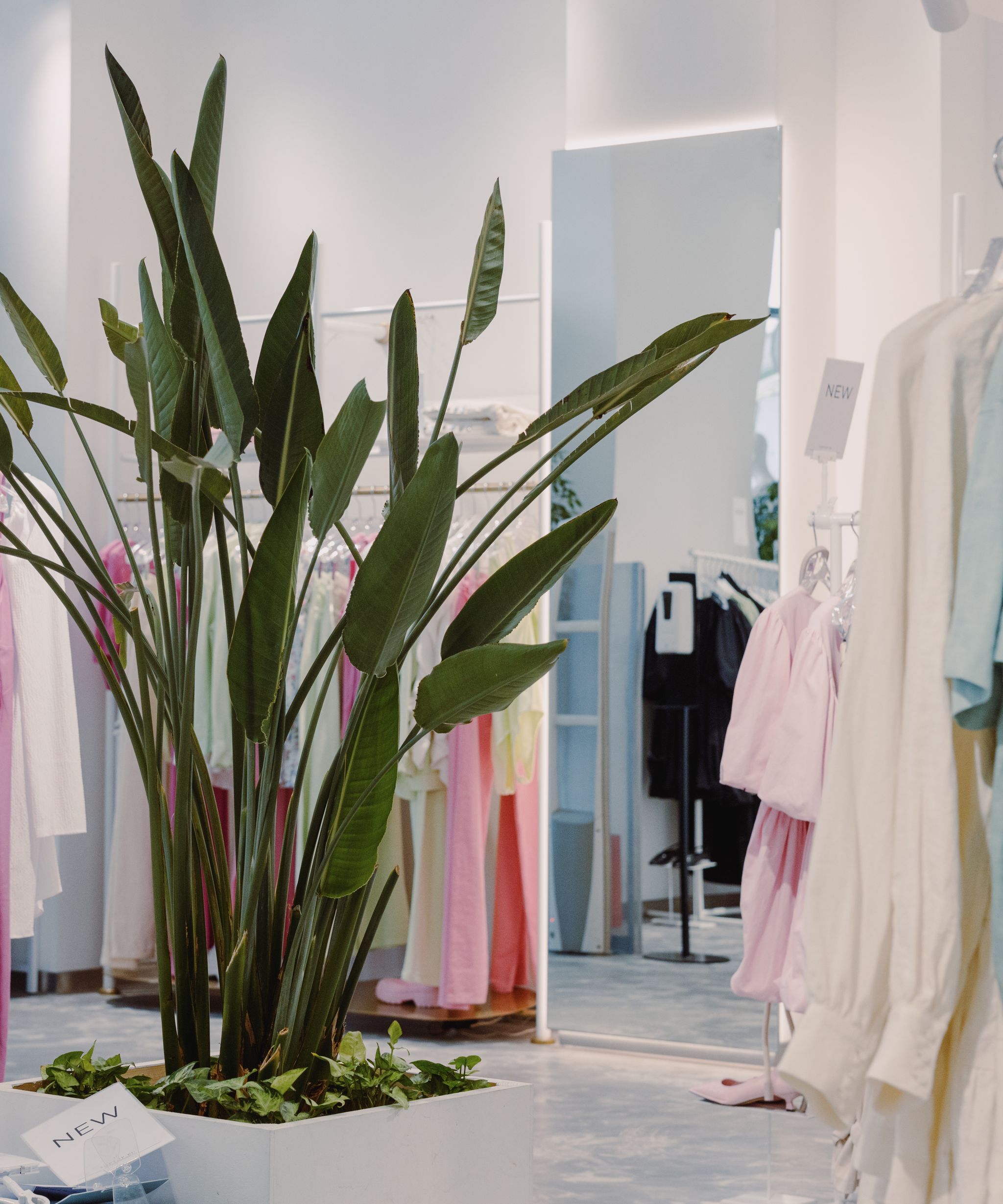 Clothing rack in a boutique