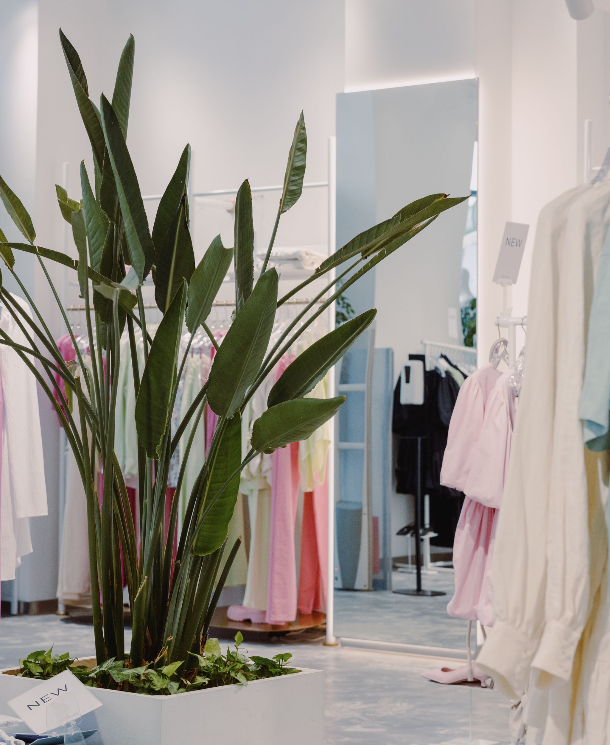 Clothing rack in a boutique