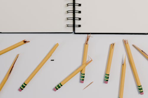 A Close-Up Shot of Broken Pencils