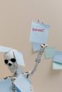 Sticky Note on a Skeleton