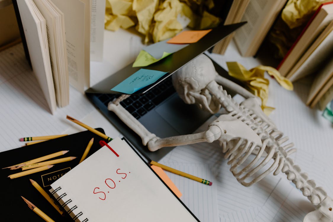 Free A Skeleton Leaning on a Laptop Stock Photo