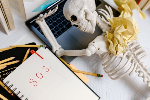 Free White Skeleton Figurine on White Table Beside a Laptop Stock Photo