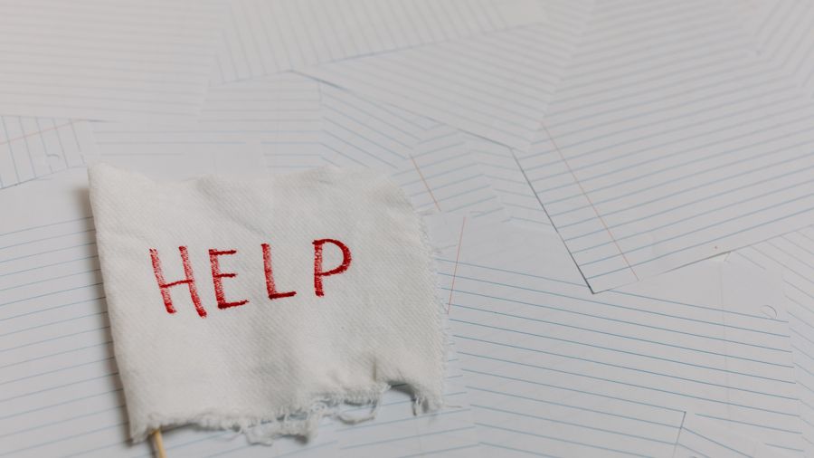 Why xenophobia is trending again — and what actually helps