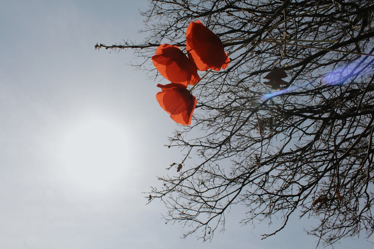 Crowd at a concert raising hands with bright stage lights